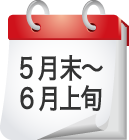 5月末〜6月上旬